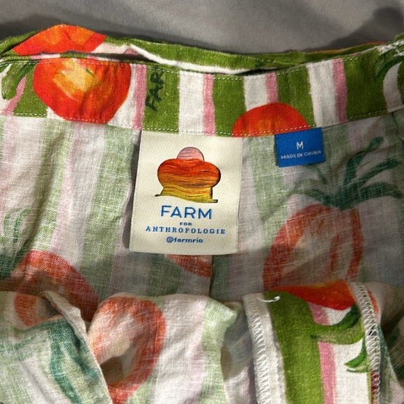 Farm Rio pineapple shorts - Picture 3 of 6